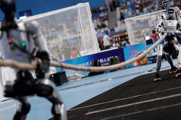 Robot Humanoid