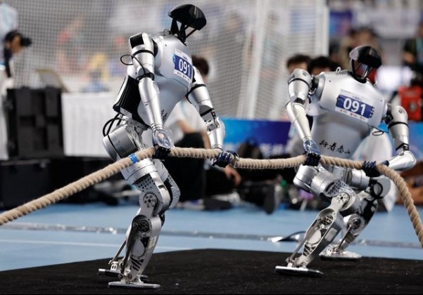 Robot Humanoid