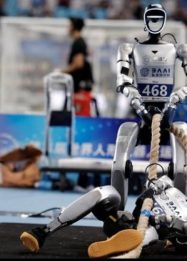 2026 World Humanoid Robot Games